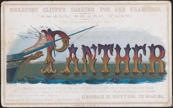 The Small Extreme Clipper Ship Panther
