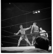 Madison Square Garden - Fight Night