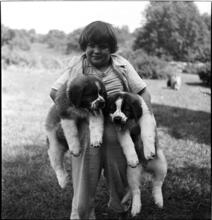 A Dog's Life in the Big City [Boy carrying two puppies.]