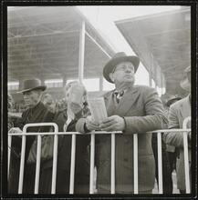 Aqueduct Race Track [Grandstands at the racetrack.]