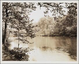 [Bronx River.]