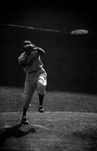 Sal Maglie