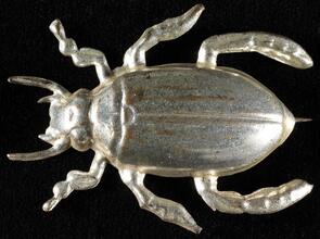 [Silver bug pin.]