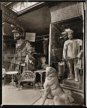 Sumner Healey Antique Shop