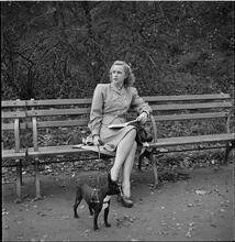 Men Are Such Wolves [Woman on a park bench.]