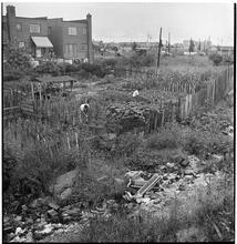 [Gardens.]