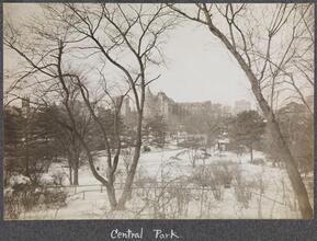 [Three views of Central Park.]