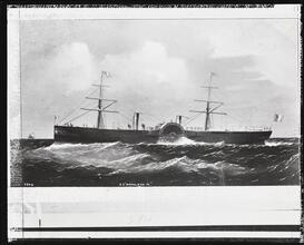 [Print of the S.S. "Napoleon III".]