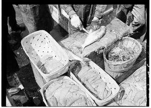 Fulton Fish Market: Cleaning Fish 4.