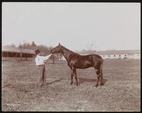 Racehorses, "Kennebunk."