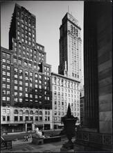 [Looking across Fifth Avenue from the steps of New York Public Library's main branch.]