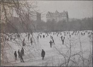 Skating in Central Park