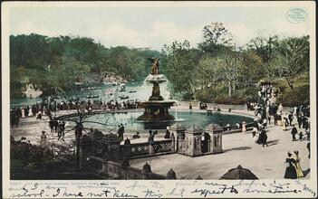 The Lake and Terrace, Central Park, New York.