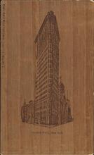 Flat Iron Bld'g, New York.