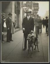 New York Assoc. for the Blind, Mr. Himmel and his Dog.