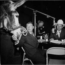 Arthur Godfrey [Godfrey petting a donkey, likely during his show, Arthur Godfrey's Talent Scouts.]
