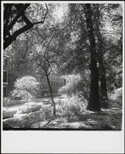 View of Fifth Avenue by 94th Street, Central Park