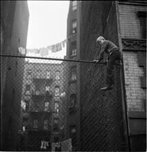 Shoe Shine Boy [Mickey climbing a fence.]