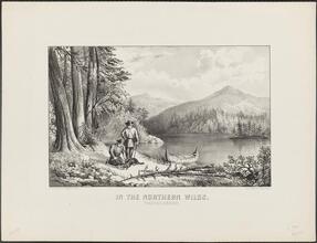 In the Northern Wilds.