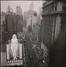 New York in the Summertime