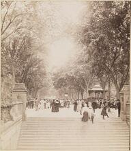 [The Mall, Central Park.]