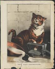 The Cat - Astrophe.