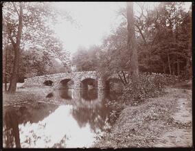 [Bronx Park.]