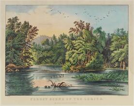 Forest Scene on the Lehigh