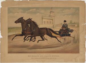 The Famous Double Trotting Team, Sir Mohawk and Nellie Sontag.
