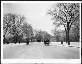 Central Park. Snow scene.