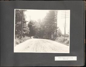 Northerly Entrance to Pelham Bay Park, Pelham Bay Park [Parks of the Bronx, 1904.]