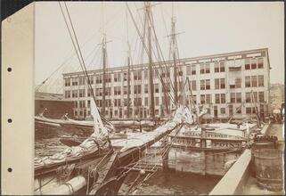 [Fulton Fish Market.]