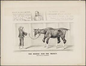 The Horse for the Money.