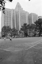 [Columbus Park and Criminal Courts Building.]