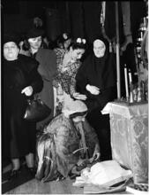[Woman laying an offering before an altar.]
