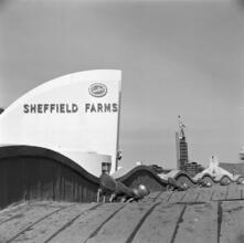 [Construction of the New York World's Fair site, showing Sheffield Farms and Sealtest building and statue of the U.S.S.R. pavilion.]