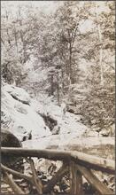 [Three views of Central Park.]