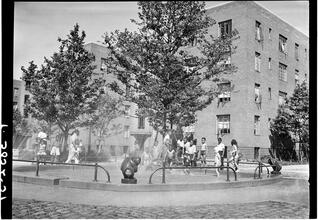 Children in the Playground of a Harlem Housing Project.