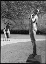 [MoMA sculpture garden.]
