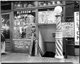Blossom Restaurant [Variant]