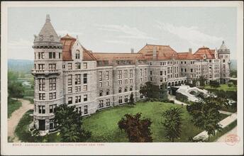 American Museum of Natural History, New York.
