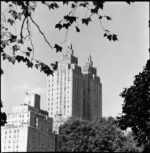 [Looking at 295 Central Park West and The Eldorado from Central Park.]