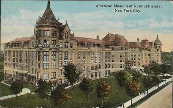 American Museum of Natural History, New York City.