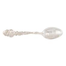 Souvenir Spoon