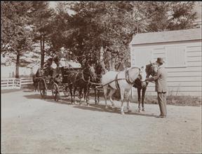 Sports, Fox Hunting at Meadow Brook.