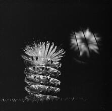 [Display at the New York World's Fair.]