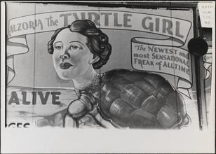 [Coney Island sideshow sign advertising Alzoria the Turtle Girl.]