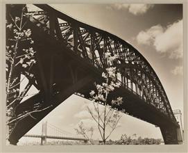 Hell Gate Bridge I