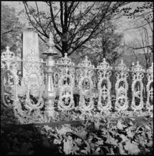 [Decorative railing in unidentified cemetery.]