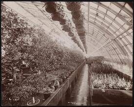 Residence, Miss Helen Gould (Late Jay Gould Residence).